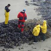 environmental programs research
