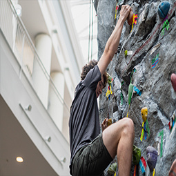 Climbing Wall