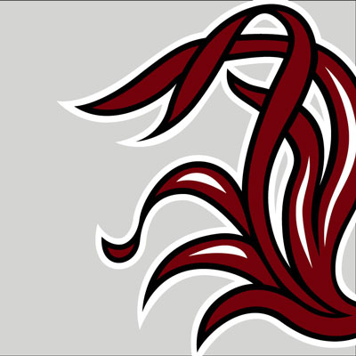 spirit mark example