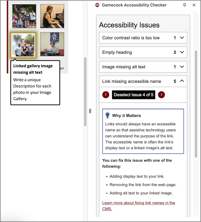 Screenshot of Accessibility Issues with Link missing accessible name expanded and one instance highlighted on the web page.