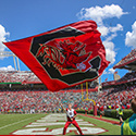 Student waving spirit flag at a football game.