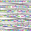 diagram of gene sequencing