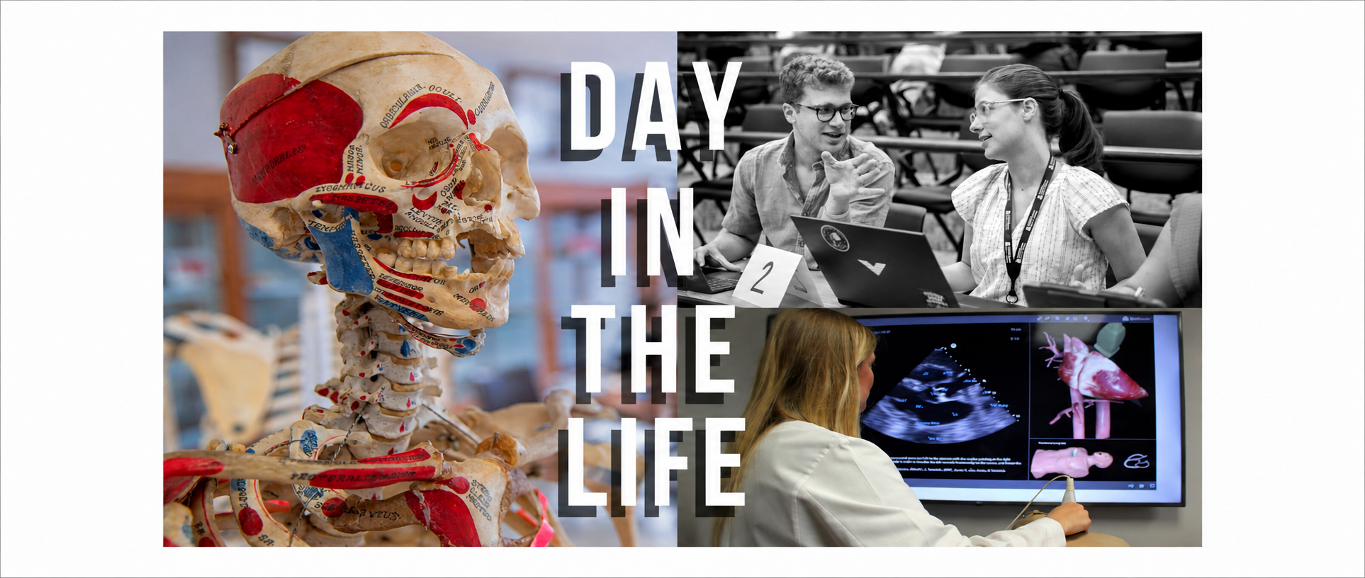 Day in the Life images